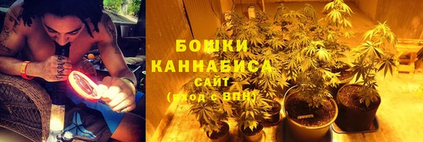 мдпв Лиски