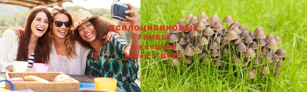мдпв Лиски