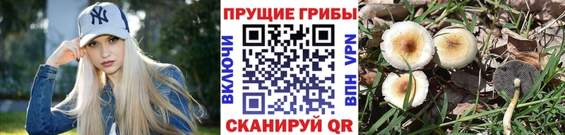 Псилоцибиновые грибы Magic Shrooms  Купить  Киренск 